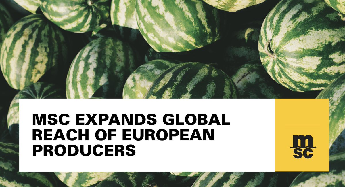 MSCCargo's tweet photo. We can now take your fruit even further... Read the interview in @eurofruit with our Julio Nestar: https://t.co/babQkiDRKv #freshproduce #reefershipping https://t.co/Q5lD0UGfsJ