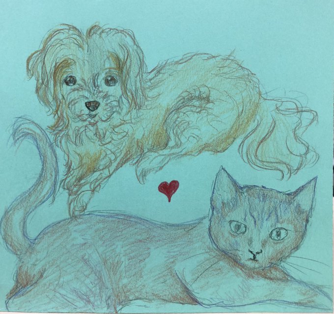 犬猫仲良しのtwitterイラスト検索結果 犬猫仲良しのtwitterイラスト検索結果
