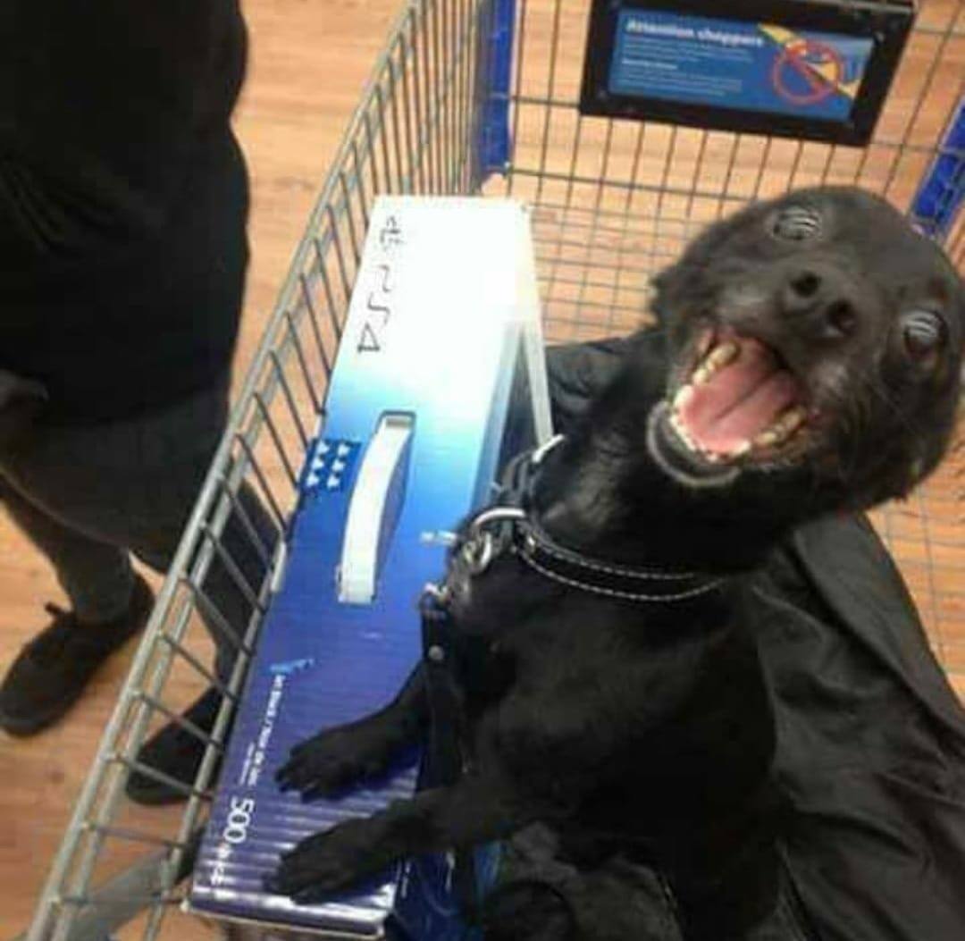 ContraseaPC's tweet image. La felicidad plena en una sola foto 😁😍👾🎮
•
•
•
•
#Contrapc #Ps4 #Instadog #Gamerlife