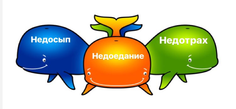 •МКС• tweet media