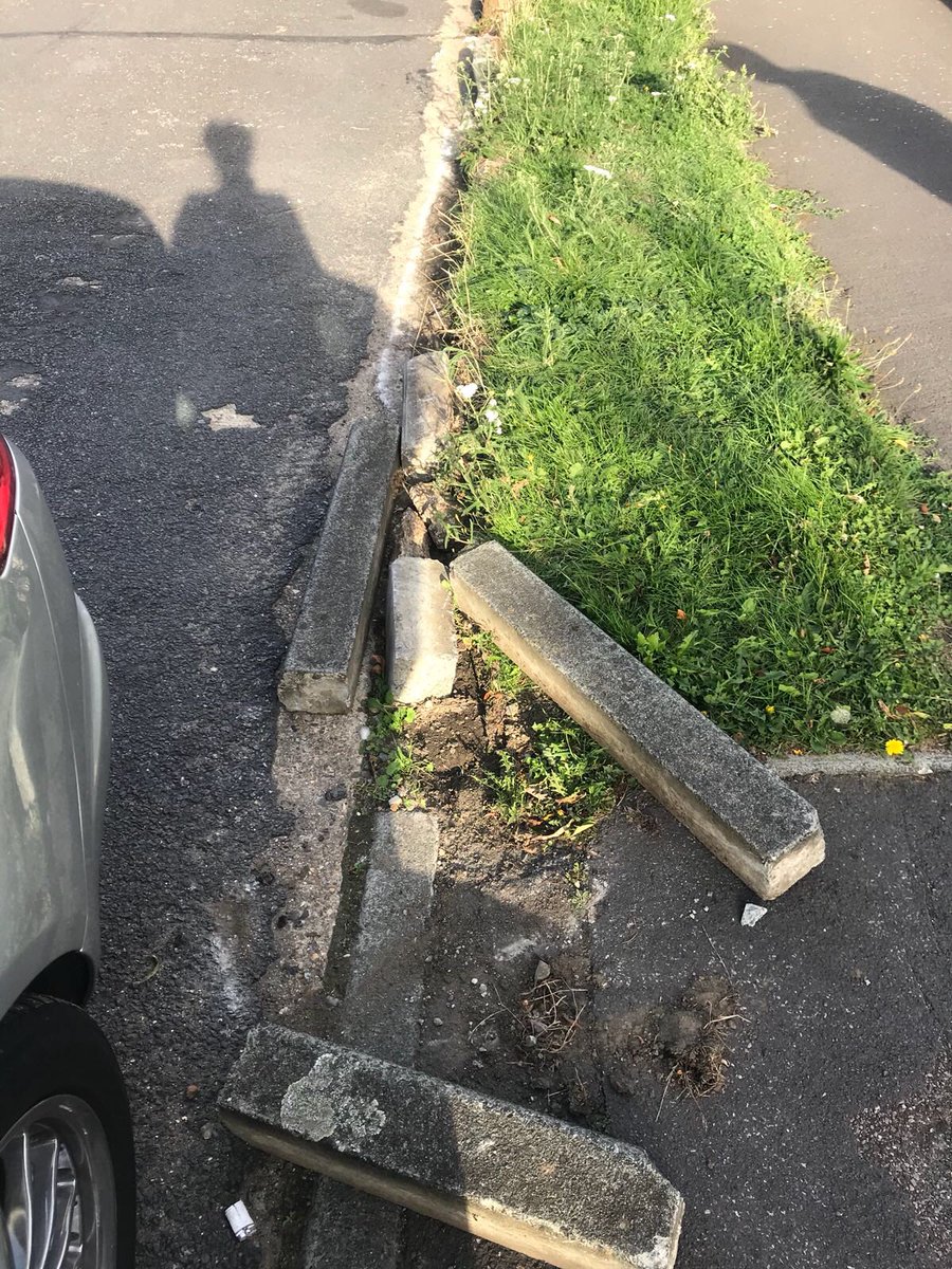 Danielle tweet media