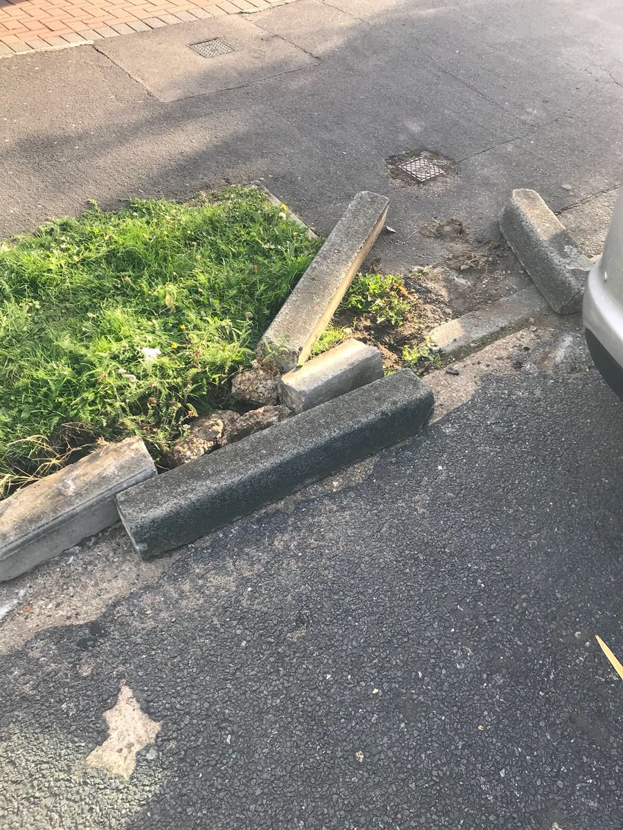 Danielle tweet media