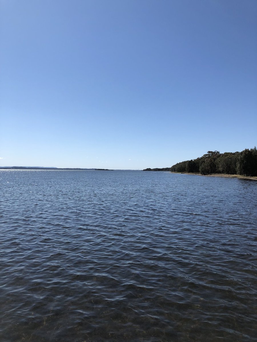 _Jo_3's tweet image. #ALittleBitOfPeaceForYa @ErnestoRiley ❤️ #AussieSunshine #LongJetty #TheEntrance #Pelicans