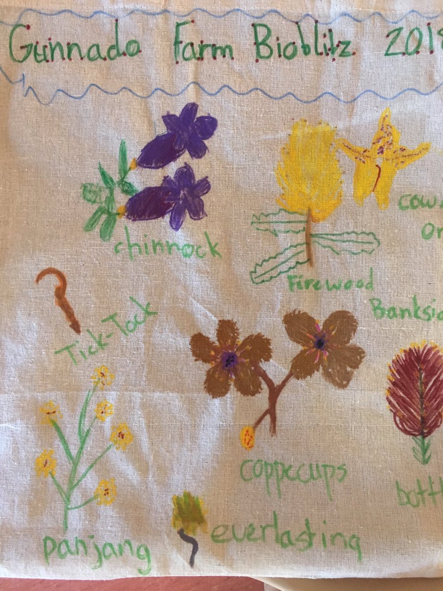 NACC_NRM's tweet photo. And that my friends is a wrap - I think these #reusable and #WildOz bags are a great way to sum up the #Gunnado #BioBlitz - fun times are everywhere https://t.co/K87Bj1QUEr