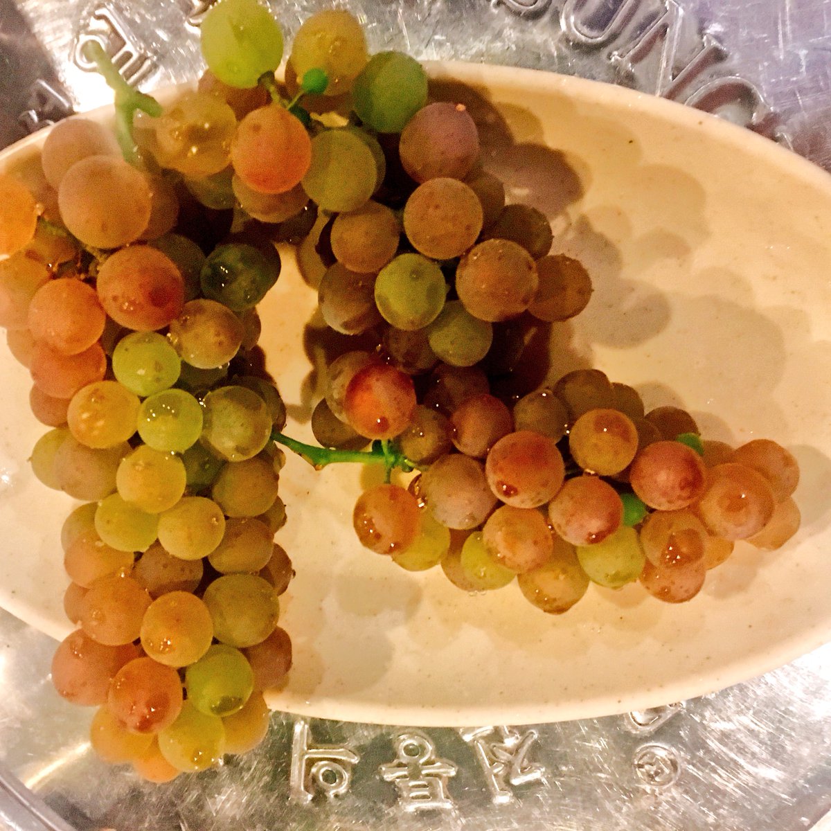 flowershower8's tweet photo. 韓国料理屋さんのお店の天井にぶどう畑が広がっていました🍇おしゃれすぎる🍇
その場で収穫して提供してくださいました😆✨😋🍇

#ぶどうの木 #松屋 #韓国料理屋さんの屋根の上 https://t.co/CDFIrouSF3