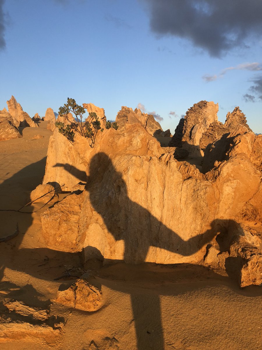 GloriaGarayua's tweet photo. Pinnacle desert at sunset!
.
:
.
.
.
:
.
.
.
#Pinnacle #PinnacleDesert #Sunset #Cervantes #KangaroosInTheWild #PerthAdventures #PerthIsOk #AustralianFriends #PerthFriends #ActorAbroad #Abroad #International #Overseas #Sydney #WA #DownUnder #AU https://t.co/gABqmbtVON
