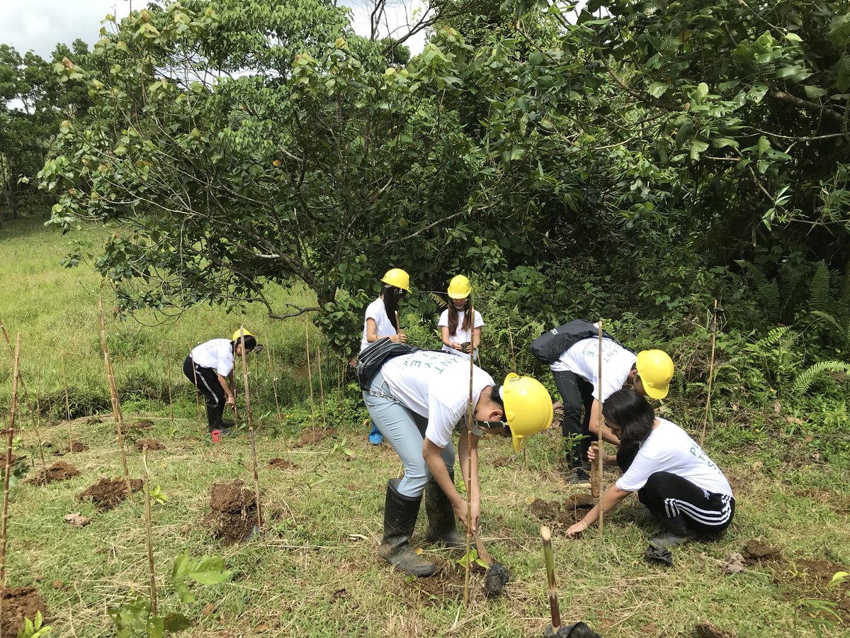 KimNamjoonPHL's tweet photo. To celebrate RM’s birthday, our ARMYs planted 200 trees in Sierra Madre mountain as an action to protect our planet and people. 

The 200 trees had been raised by ARMYs all over the world in appreciation of Namjoon and our environment. 

#PlantTodaySaveTomorrow #ARMYnaturewin https://t.co/7B39O5MnC5