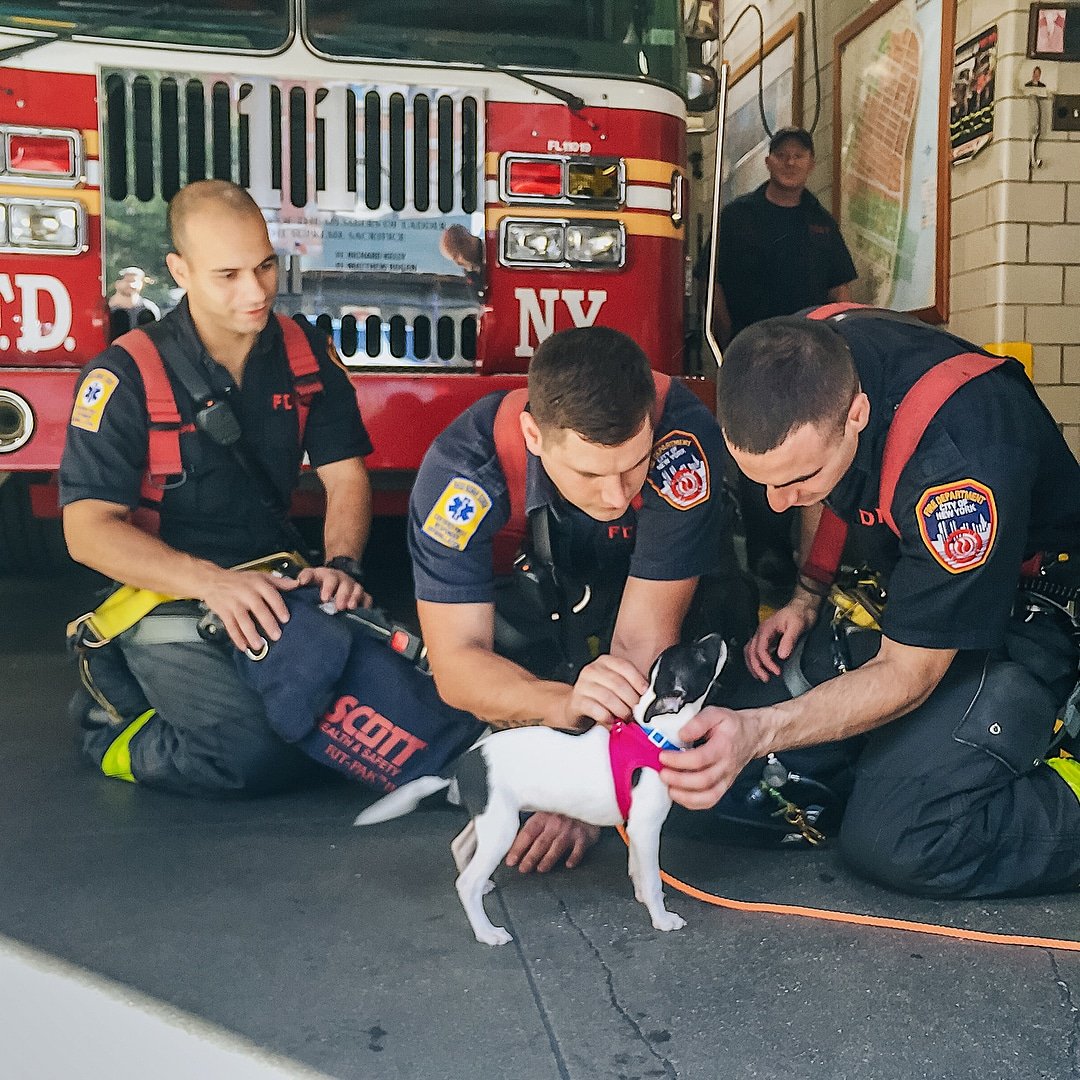 firefightersusa's tweet photo. Cute ❤❤❤
🔥🔥🚒🚒 📸DM us Firefighter Pics❤❤❤
👲TAG a FireFighter
👍Follow, Like, Share, Comment please
#firefighter #firefighteronduty #firehero #firefighters #fireman #firefighterworld #malefirefighter #firefighters_unite #firefighters_brotherhood #911firerescue #firedep https://t.co/6GmemHUqSA