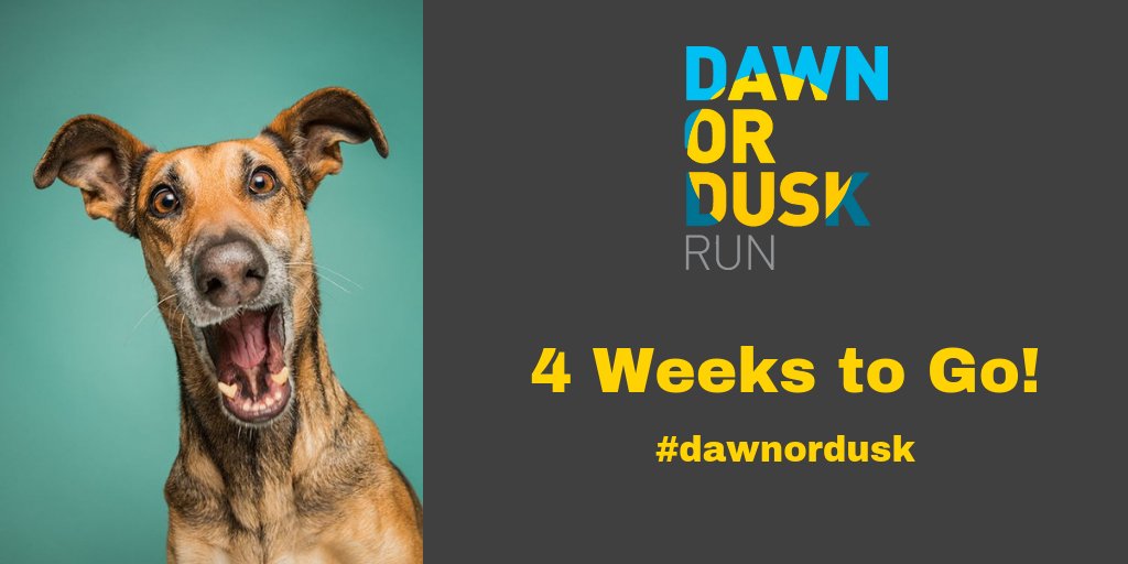 dawnorduskrun's tweet image. Did somebody say Dawn or Dusk? Only 4 Weeks to go now! We're getting so excited 😎 #dawnordusk #Nottingham #grouprunning #ukrunchat @maggiesnott @Rushcliffe @NottsWomenRun @VirtualRunnerUK @PerfectMotion