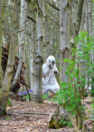 <a href="/WildlifeMag/">BBC Wildlife</a> Not true? We've spotted him at the Himalayan Riverhill gardens in Kent on several occasions!