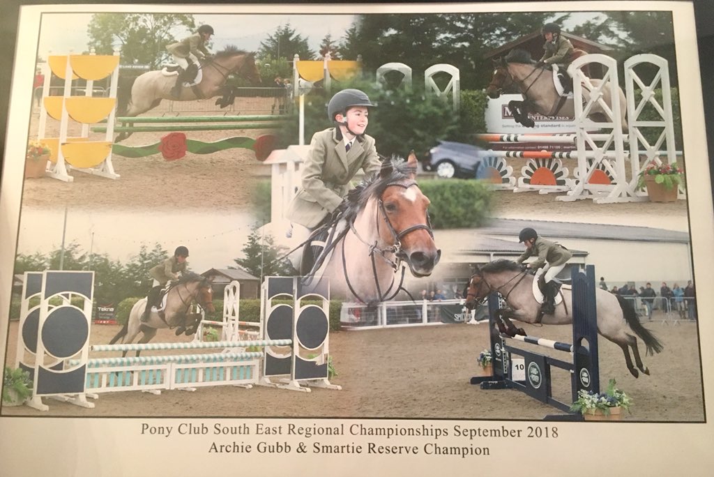 JoGubb's tweet photo. That moment, the feeling of relief, the last jump of round 3 cleared, no faults, fast time and into 2nd Place from 150 starters. @LandRover @ThePonyClub Regional Showjumping Championships
@ChilloutHorsewr @horsehairdressing
#oneproudmum https://t.co/QVdtc1CTEr