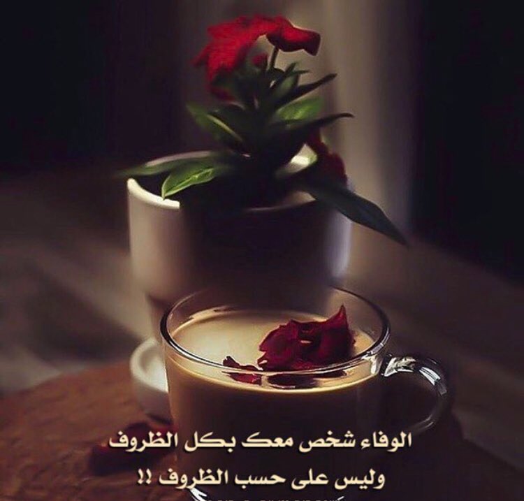 shro7a35's tweet photo. https://t.co/J5kmwy71Ps
