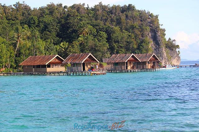RajaAmpatBiz's tweet photo. RAJA AMPAT BIZ #1 Raja Ampat Tour Operator |Mau Ke Raja Ampat?? Disini Aja... https://t.co/yBfeNq28R0 #rajaampat #touroperator #rajaampatbiz #tourrajaampat #paketrajaampat #wayag #pianemo #kabui #waisai #waigeo #arborek #yenbuba #papua #indonesia #indonesiakaya #indonesiabaguโฆ https://t.co/9HrQAHlhcW