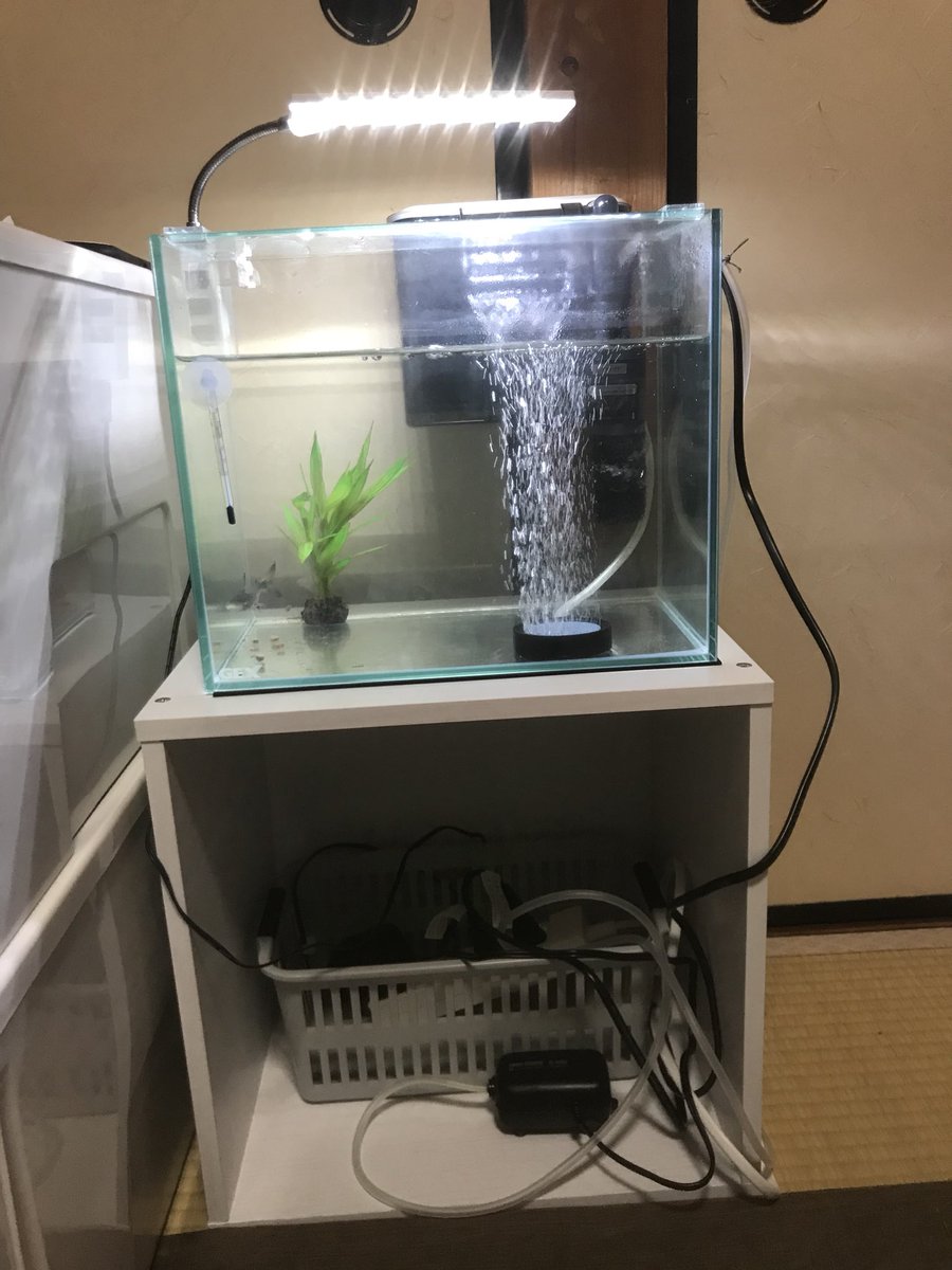 30水槽 30水槽