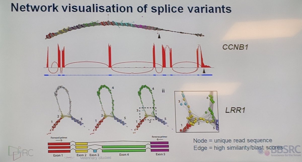 wkretzsch's tweet photo. #ECCB18 #bionetvisa soooo pretty! https://t.co/uTGGwVrZD9