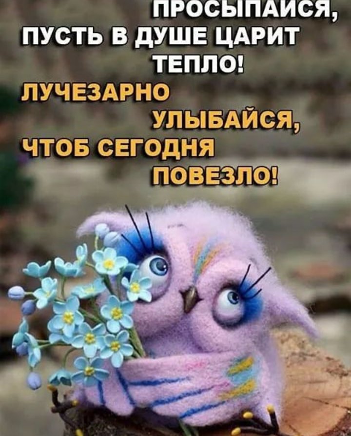 Открытка я проснулась улыбнулась, гарфилд картинки