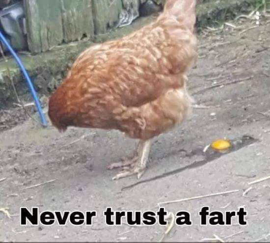 CauseWereGuys tweet picture