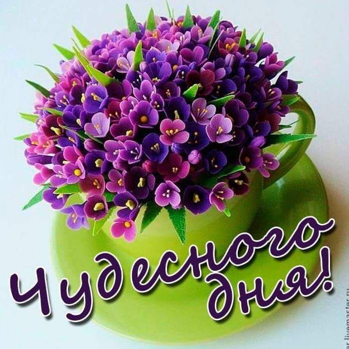 С праздником любимый город ! С днём 370 летия лучший город земли !