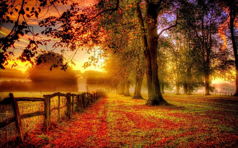 ramblingsloa's tweet photo. Each morning we are born again.
What we do today is what matters most.

The Buddha https://t.co/4XlSAJkrBr