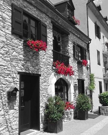 miquelguiot71's tweet photo. Una mica de color, amb uns dies núvols i humits. Bon dia.
#vilesflorides #visitarties #cat_splash #splash_mania__ #adicted_to_facades #catalonia_towns #catalonia_streets #adicted_to_catalonia #catalunya_streets #tu_splash #total_splash #be_one_street #be… https://t.co/ittXiTLiCi https://t.co/OcbK8lEUv0