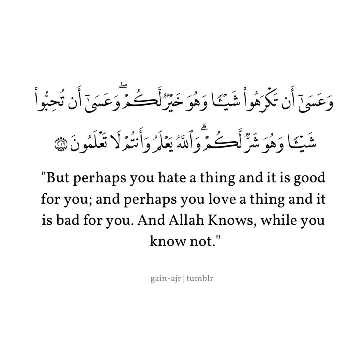 Md Rumman Haider On Twitter Indeed Allah Knows The Best So Follow Allah S Guidance Because At Last You Will Realise Allah Is Always Right Just Like Recent Scientific Facts Proves And Realises