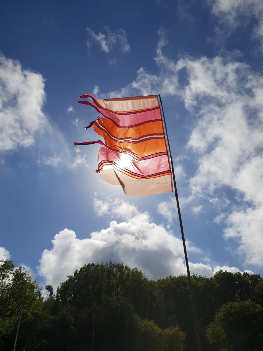 We are back for Day 3 of @EklecticaFest at @RobinHillIW, flying the flag for eco-consciousness with our pedal-powered 17-seater bike and <a href="/canowater/">Cano Water</a>. Come and say hi, we are by the campsite. #IsleofWight