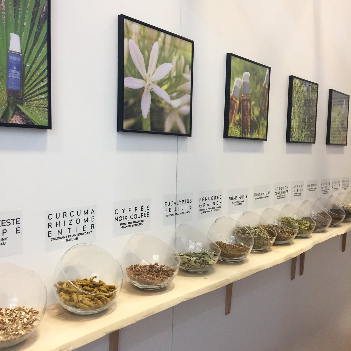 En direct du stand Marcapar, en pleine interview de Christian Roche qui nous parle de ses nouveautés. Instant nature 🌿
•
•
#echoscoiffure #echosdesbarbiers #mcbbybs #beauté #coiffure #coiffeur #paris #marcapar #plante #nature