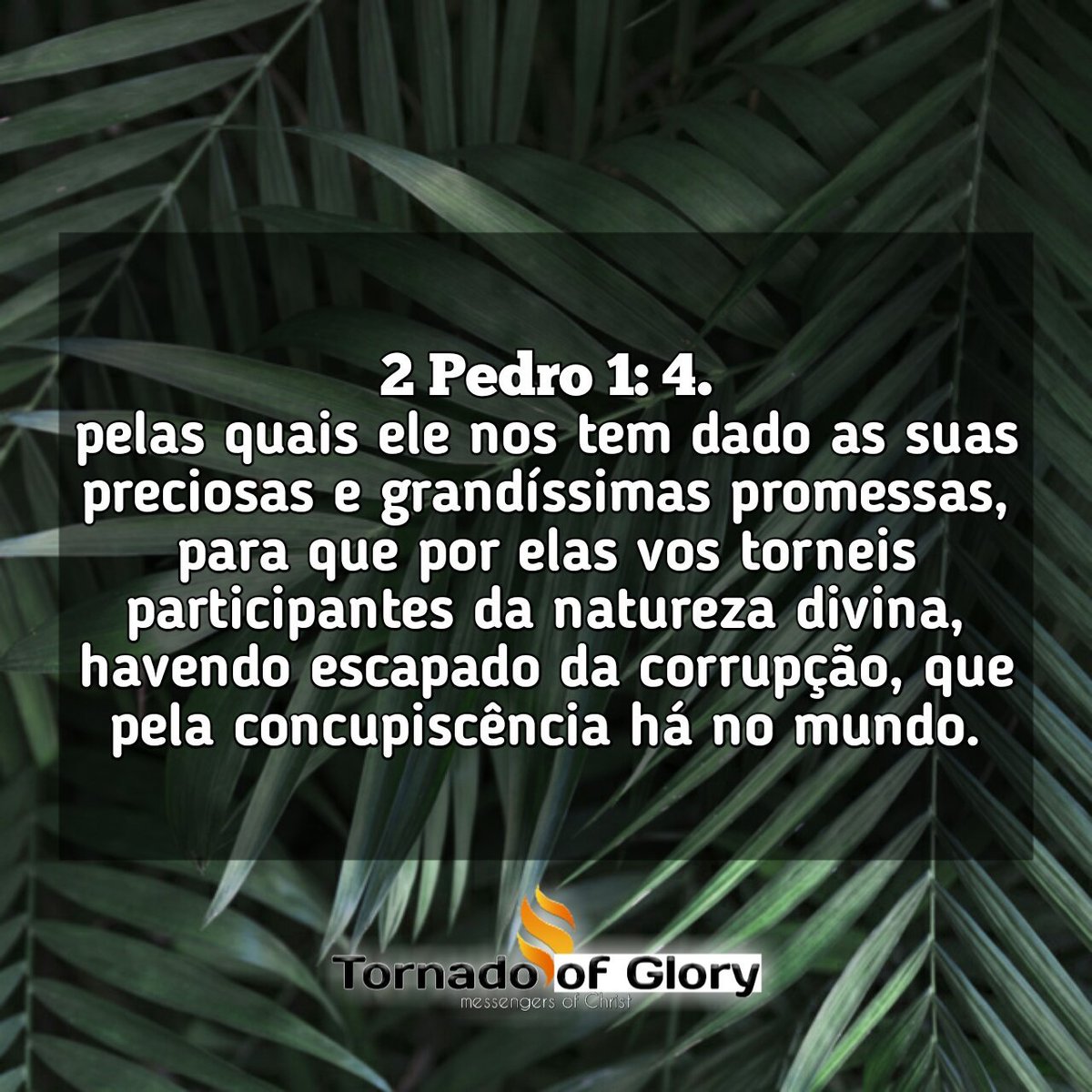 Tornado of Glory messengers of Christ (@of_tornado) / Posts / X