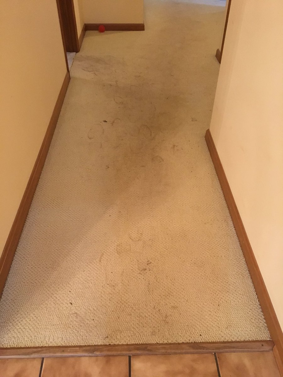 lindagaudet's tweet photo. There is now a federal investigation to find out who’s shoe prints these are😡#onehellofaparty😊 https://t.co/mtsZ1LJ33I
