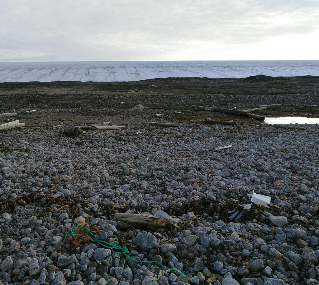 Naima El bani Altuna tweet media