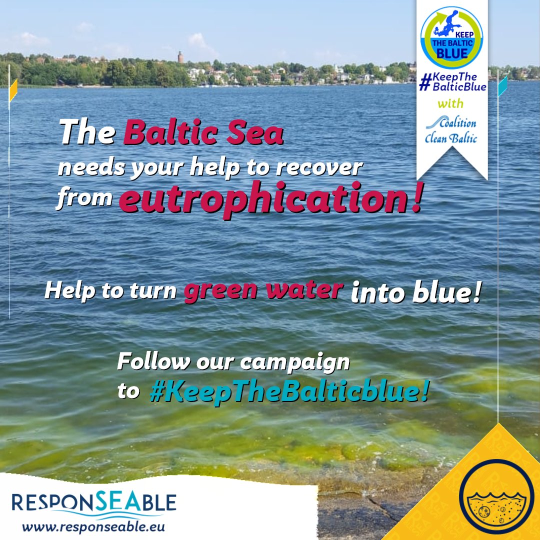 CCBnetwork's tweet photo. 95% of the #BalticSea is eutrophicated! Were you expecting that? Our daily lifes are connected to the #BalticSea. Check out our cartoon 👉https://t.co/yqmIo2flNh and blog and tag your friends! Follow our campaign #KeepTheBalticBlue 

#responseable #seadialogue #BalticSeaLovers https://t.co/cpQYTOyhRr