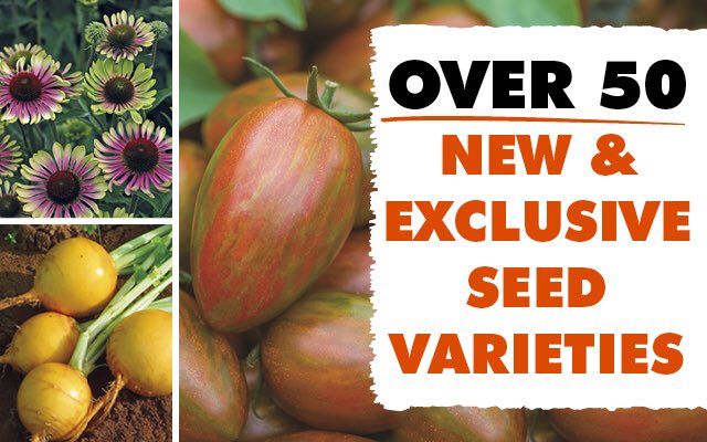 NEW &amp; EXCLUSIVE for 2019

New Vegetable seeds: mr-fothergills.co.uk/Vegetable-Seed…

New flower seeds: mr-fothergills.co.uk/Flower-Seed/Ne…