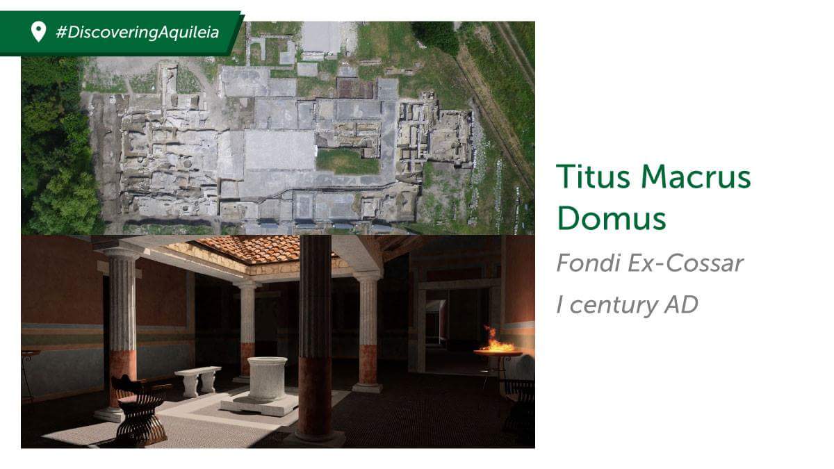 VEiL Project tweet media