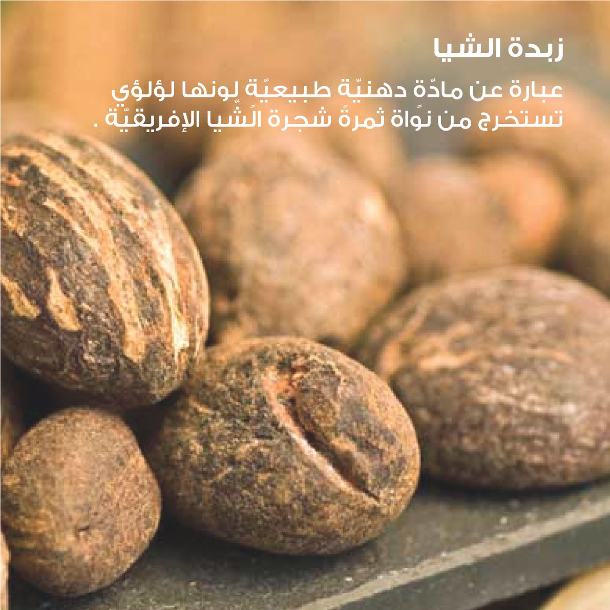 latafa_om's tweet photo. بذور الشيا ، المكون الأساسي في منتجات لطافة .. يعتبر العنصر الأساسي لمعالجة مشاكل البشرة ،، متوفرة لدى فروعنا:
- الفرع الرئيسي: شارع بوشر -شارع الكليات-
- الغبرة: مسقط جراند مول -مقابل كارفور-
- كما نوفر التوصيل لجميع ولايات السلطنة بالطلب ☎: 90607934
#latafa https://t.co/FDaH8hCAoU