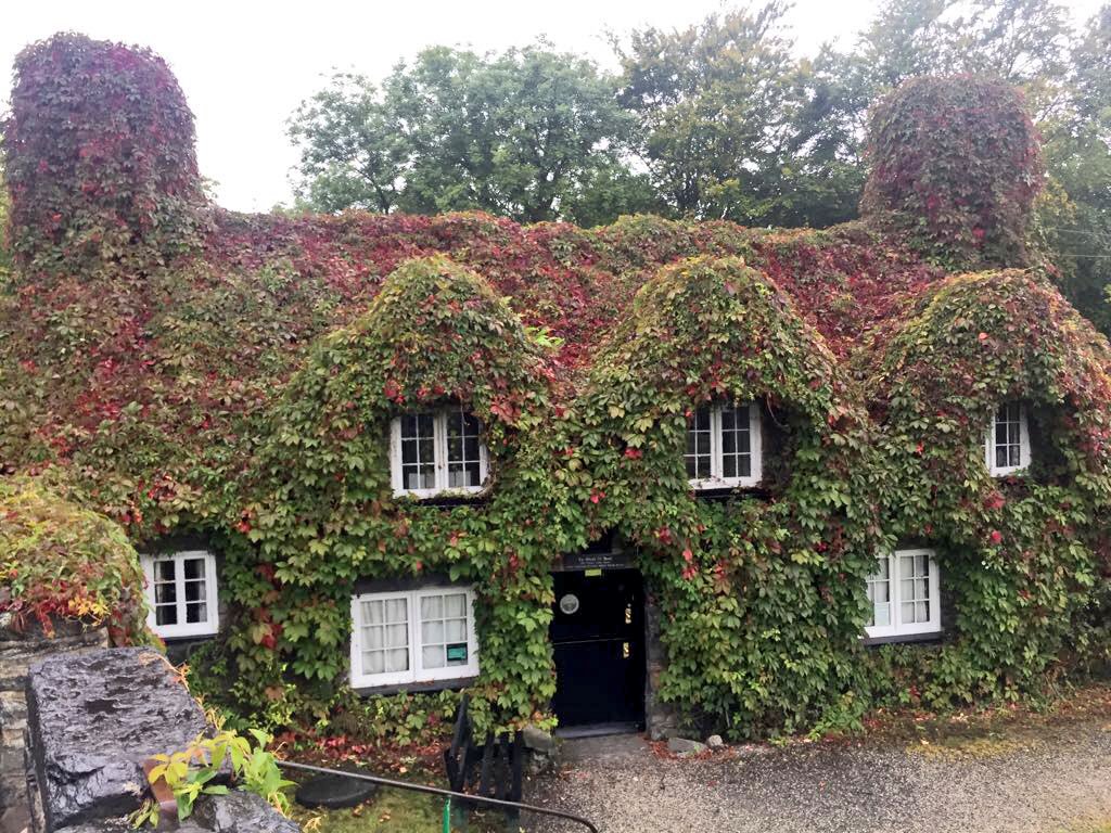 Tu Hwnt i'r Bont tweet media