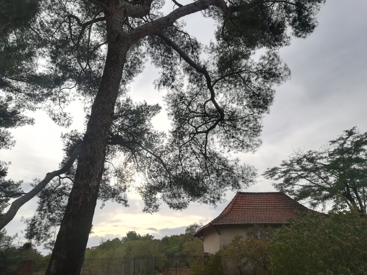 PMallagray's tweet photo. #SabadoDeRuta
#Historia de #Madrid
#LaQuintaDeTorreArias En plena reconstrucción.
#CompartoMisInstantes
Bss 💕 https://t.co/1NDsrilPsI
