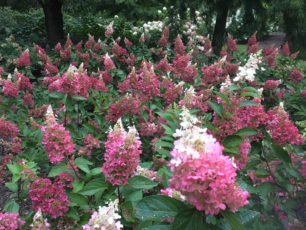 Harvey Stephens tweet media