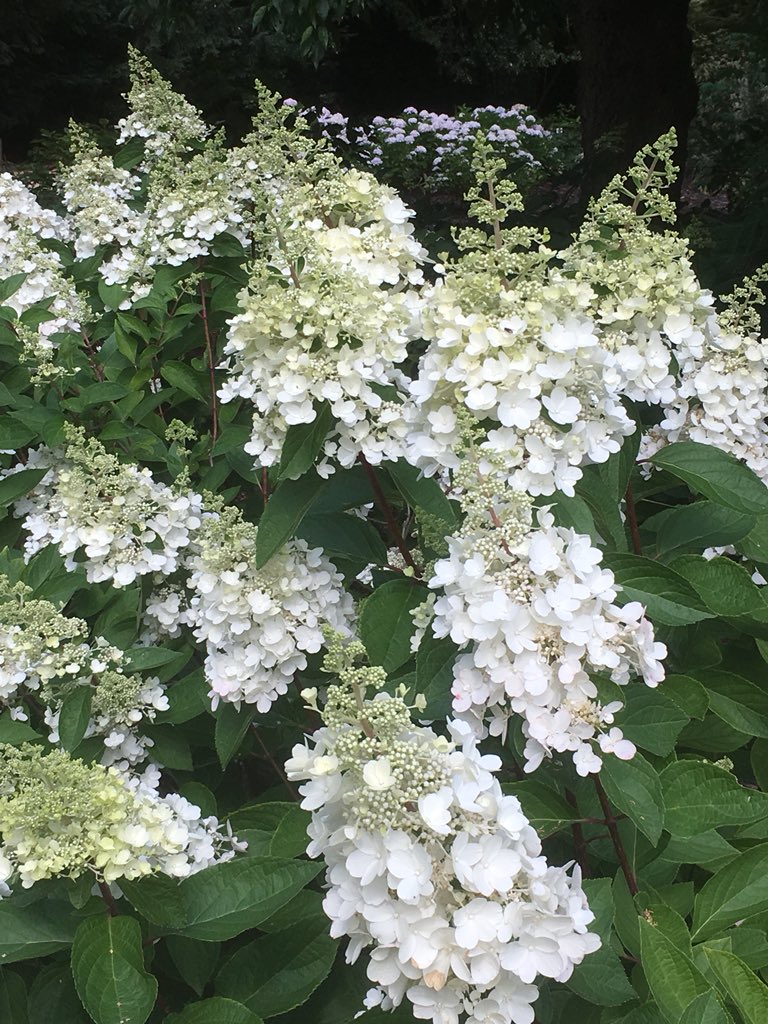 Harvey Stephens tweet media