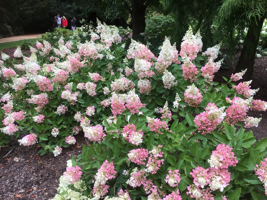 Harvey Stephens tweet media