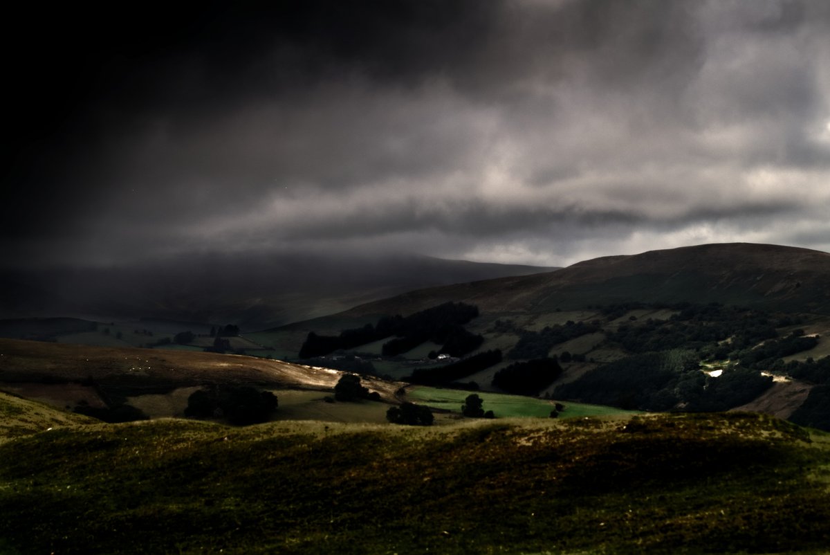 Project Alpha TV tweet media