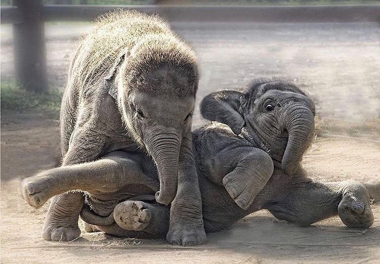 ramblingsloa's tweet photo. Joy is not in things;
It is in us.

Richard Wagner https://t.co/3uBfPyw0Qh