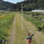こんなの見たら鶏肉食べにくくなっちゃうよ…。比内地鶏の覚悟がここにある!