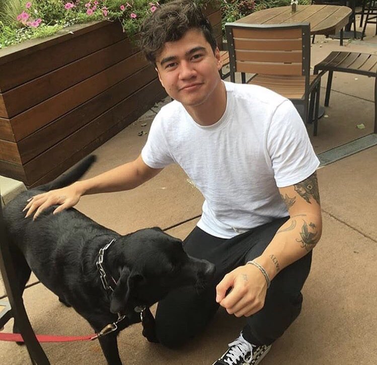 CALUMTHPICSS's tweet photo. calum + dogs = favorite concept https://t.co/jYF7ZkMDeq