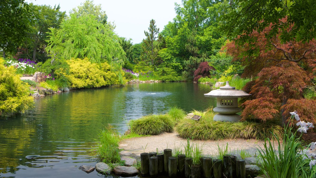 GDTraveltips's tweet photo. BOTANICAL GARDENS - GD travel will showcase beautiful gardens and parks from around the world starting with Lewis Ginter Botanical Garden in Richmond, Virginia, USA. #garden #botanical #Travel @lewisginter voted as one of the best gardens in the USA - https://t.co/lkDu7O6ero https://t.co/zVowFpQFe1