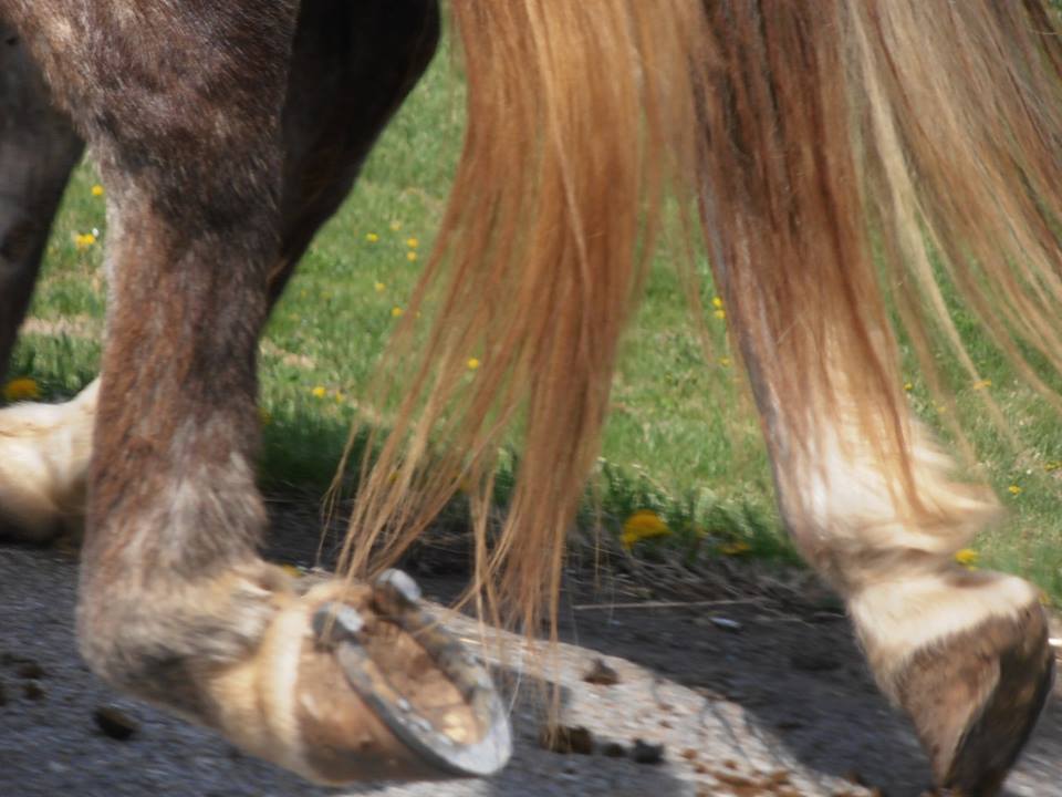 vonphuckstick's tweet image. #arts4columbia #muletown