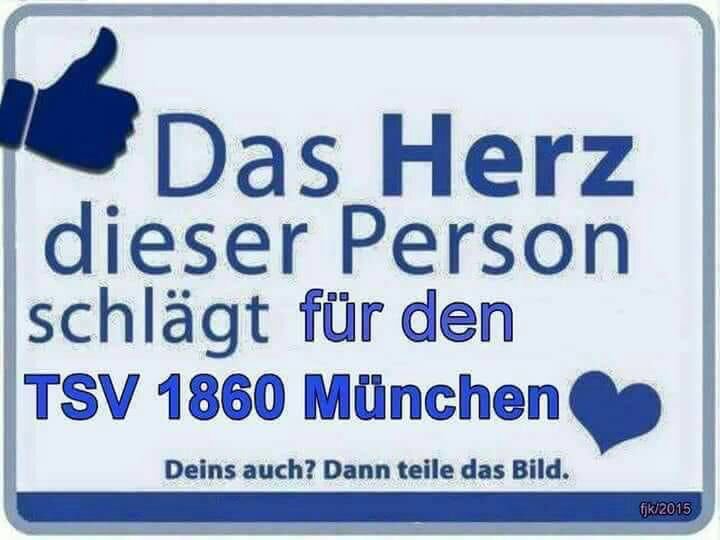 Steetzi's tweet photo. #ELIL 💙💙 https://t.co/pHvt19oBnW