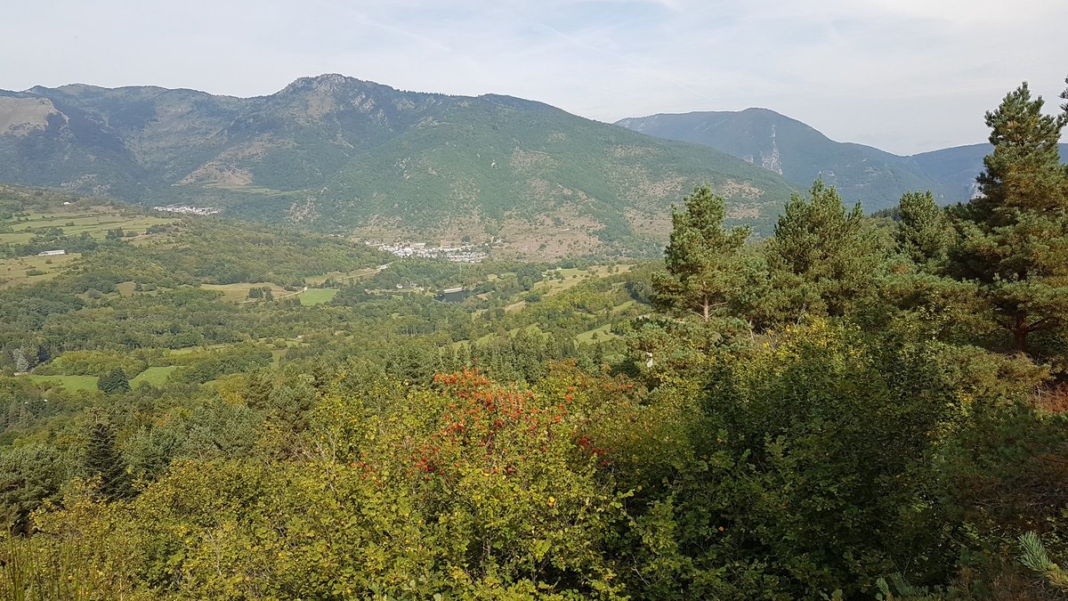 GaspariniSeb's tweet photo. Au vert... #querigut #ariege #pyrenees https://t.co/hsmlJVUZo9