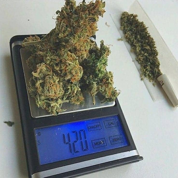 AndyBills10's tweet photo. medicinal in CBD and High in THC and Top shelf Marijuana for Patients
with illness like Cancer,pain,InsomniaAnxiet,Liver problem,-Epilepsy
and more, on Sale at negotiable and affordable prices. Cancer Cannabis
Oil (high in CBD and THC) on sale. Contact +1 304-900-3346 https://t.co/4m2oF363BE