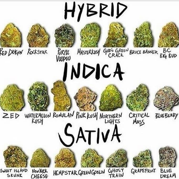 AndyBills10's tweet photo. medicinal in CBD and High in THC and Top shelf Marijuana for Patients
with illness like Cancer,pain,InsomniaAnxiet,Liver problem,-Epilepsy
and more, on Sale at negotiable and affordable prices. Cancer Cannabis
Oil (high in CBD and THC) on sale at excellent rate +1 304-900-3346. https://t.co/3uAZ6wFBpb