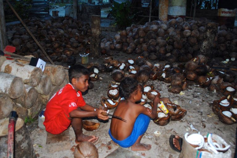 Mongabay Indonesia tweet media